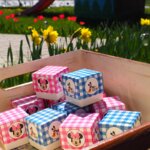 Mini krabička modrá DISNEY MICKEY s 3ks praliniek
